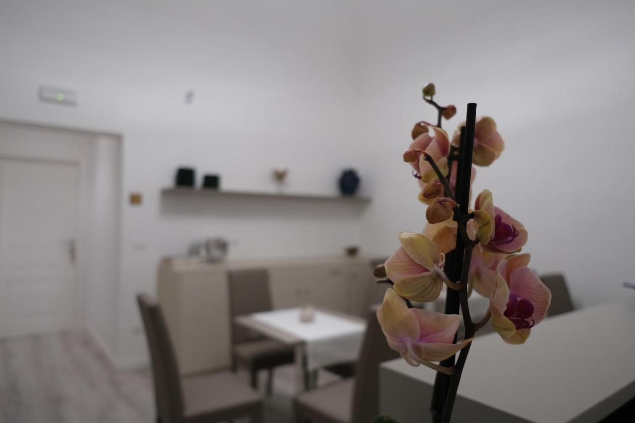Heart City Rooms Catania Exterior photo